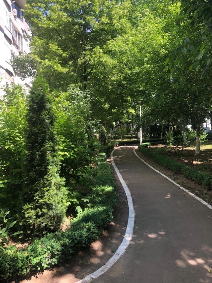 Laguna Apartament Βραΐλα Εξωτερικό φωτογραφία